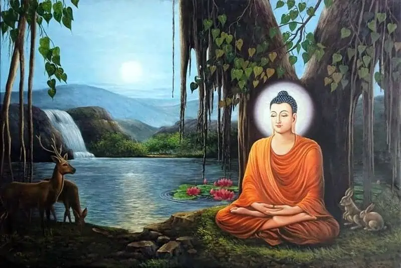 đức Phật thiền định dưới gốc cây bồ đề